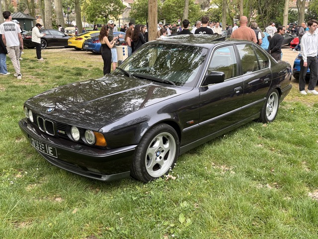 IMG_6477.jpeg