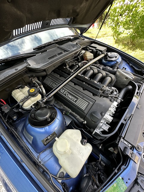 IMG_8809.JPG