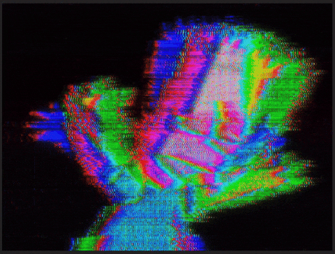 giphy.gif