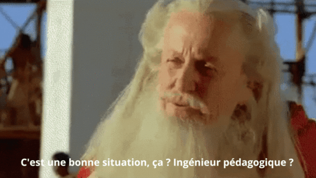 1666264042154.gif
