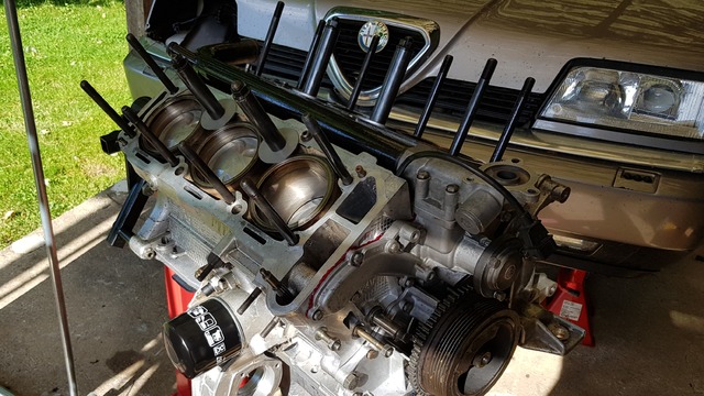 20190619_111350.jpg