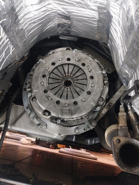 20260228_092546.jpg
