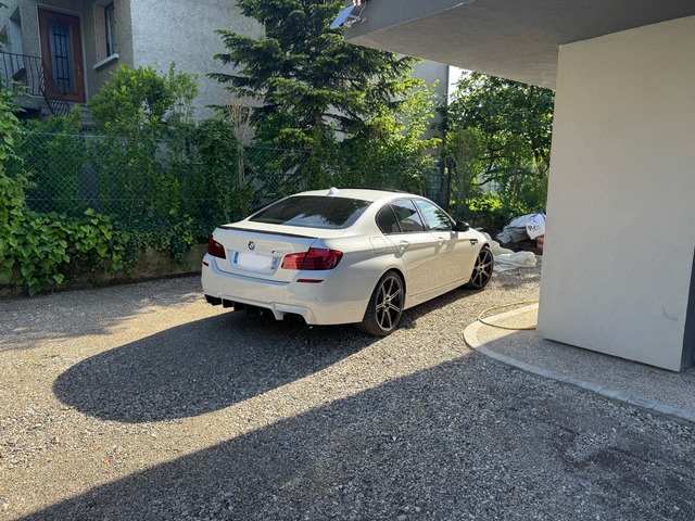 IMG_0209.jpeg
