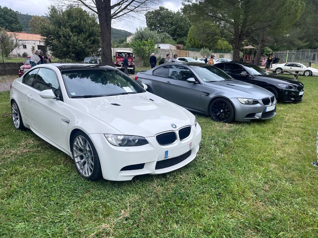 IMG_1050.jpeg