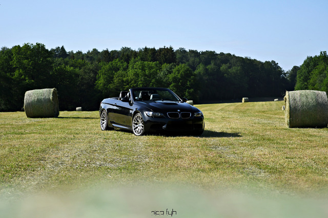 DSC_8194.JPG