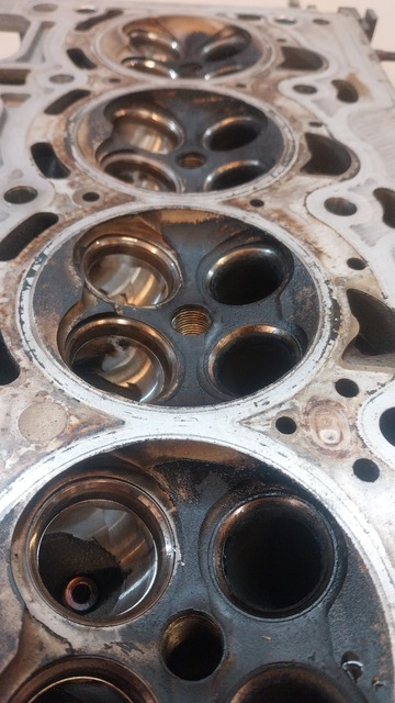 IMG-20260510-WA0017.jpeg