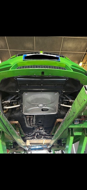 IMG_3034.jpeg