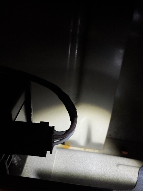 IMG_7883.jpeg