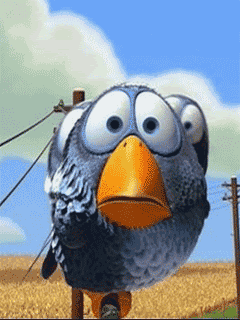 unnamed.gif