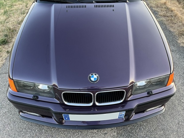 IMG_4206.jpeg