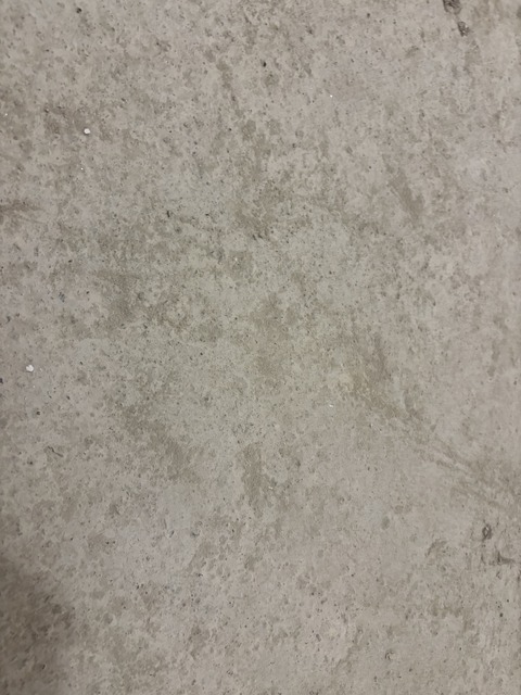 IMG_8050.jpeg