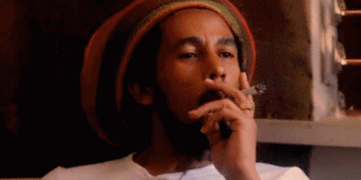 e0fcf08dcd91393d9fe96453f4674c3b (1).gif