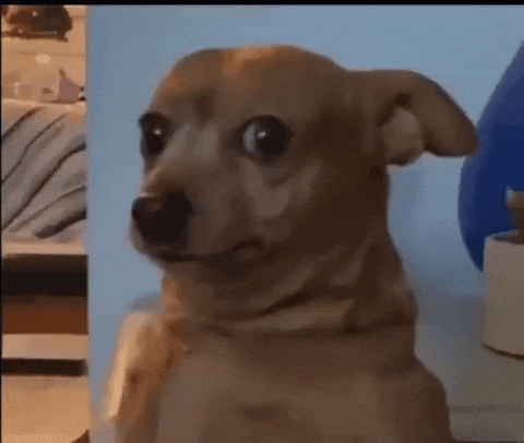 image.gif