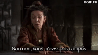vous-mavez-pas-compris.gif