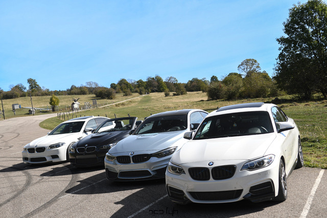 DSC_1175.jpg