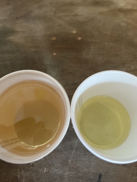 IMG_2757.jpeg