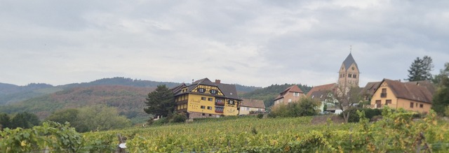 20261004_131130.jpg