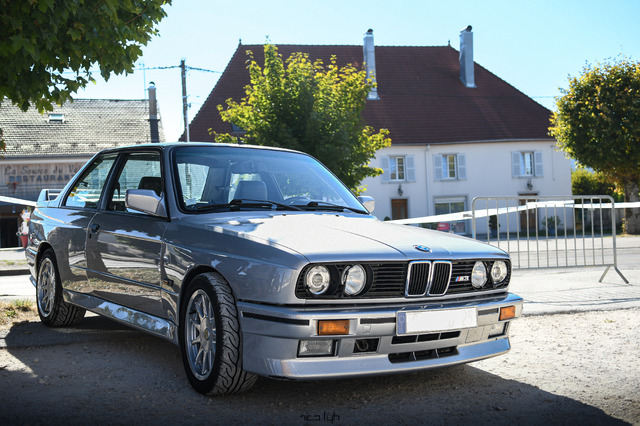 DSC_1306.jpg