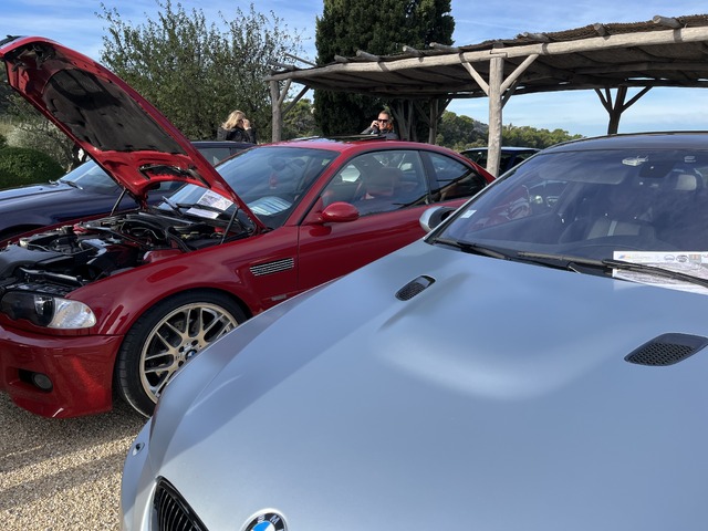 IMG_2880.jpeg