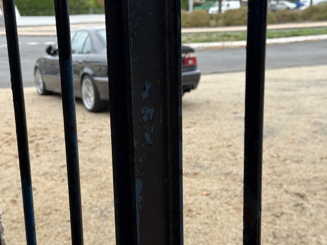 IMG_9151.jpeg